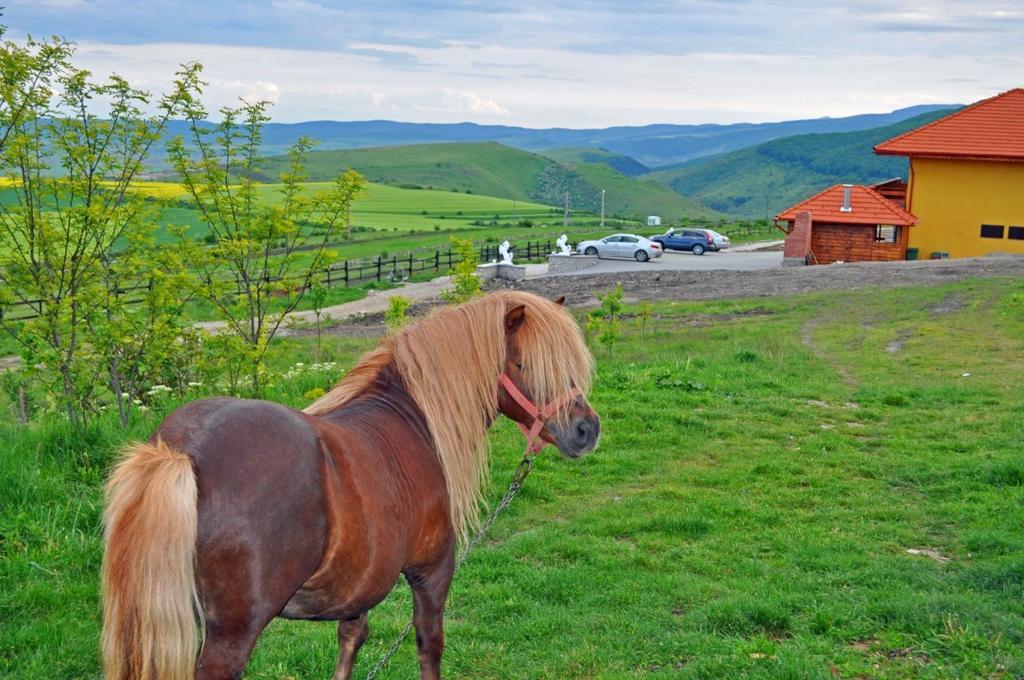 Pensiunea Cheile Apusenilor Sandulesti Esterno foto