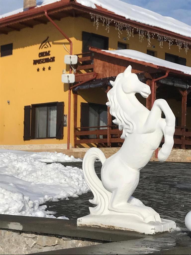 Pensiunea Cheile Apusenilor Sandulesti Esterno foto